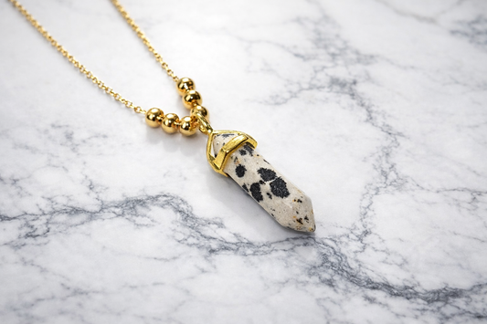 Dalmatian Jasper Necklace – Stainless Steel